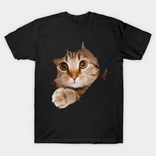 cat lover gifts for cat people T-Shirt